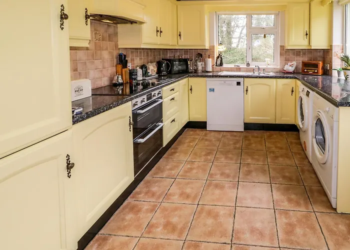 Neills * Letterkenny